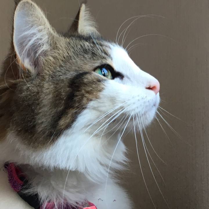 960a0890 07b1 465a 875f 10c1223b2c0f