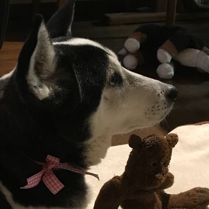 960a47cb dbec 4c58 b39d 9219dca73458