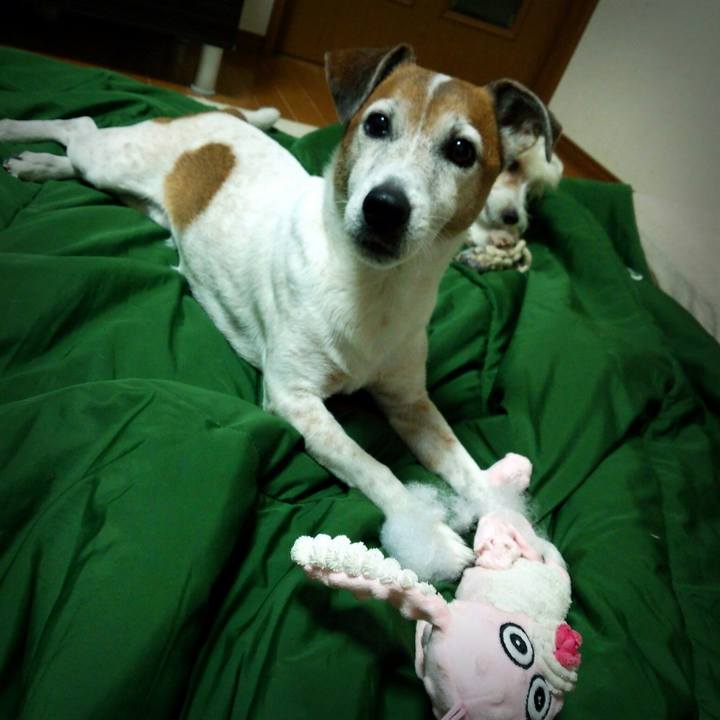 960a48b6 3780 4182 bbd2 1520381e264e