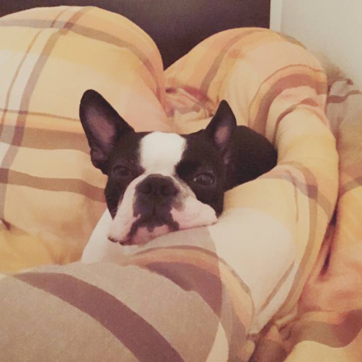 960b3405 072c 4a4d be9d 7e42fefb8219