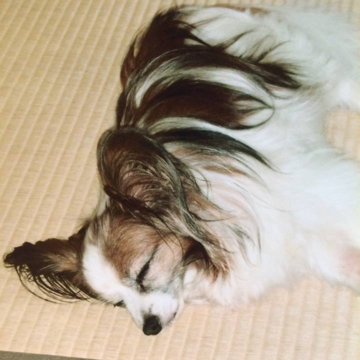 960b964e 5033 4fe0 8d8b 57125fc7e8ac