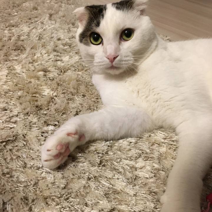 960c1e7a c667 466d a2d6 b99347e2cae0