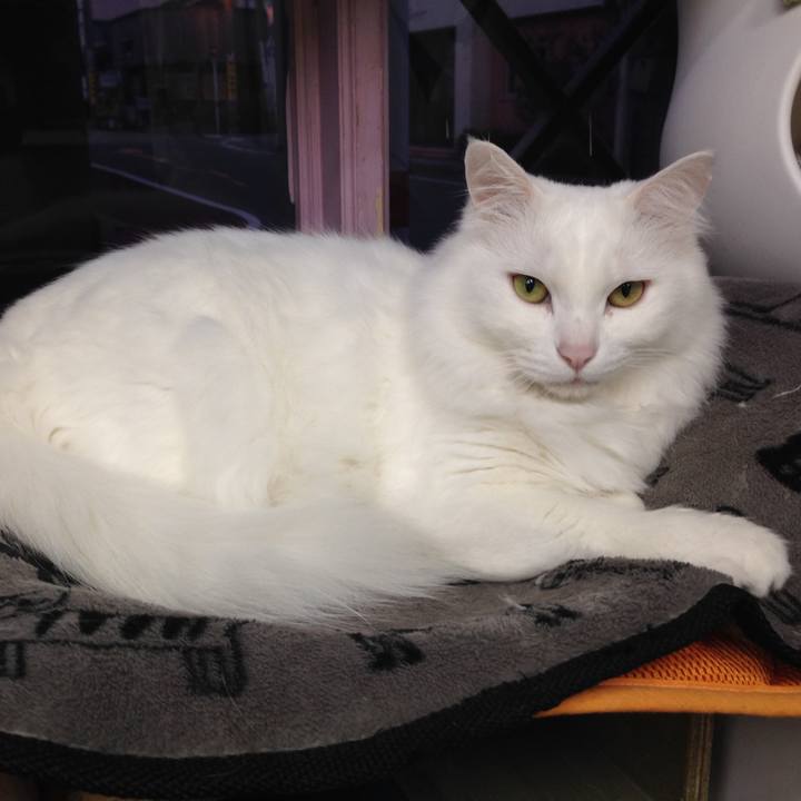 960c4be6 c46a 4e3e b07d 43061f59849c