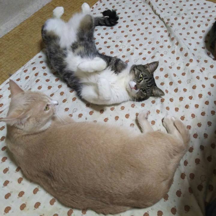 960c5cdf a7c5 41f6 a7fa 87322e640758