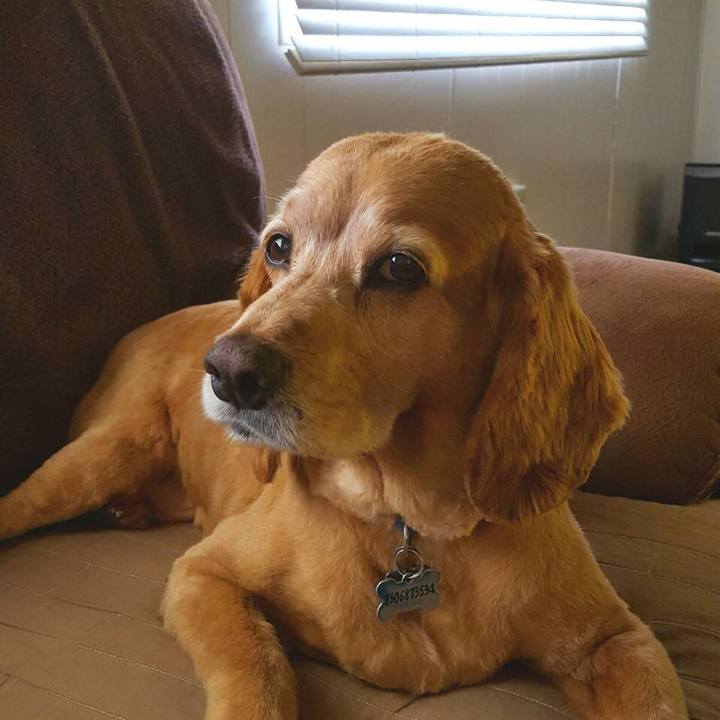 960ccc8e 6087 4111 b039 c9260ea9a7ec