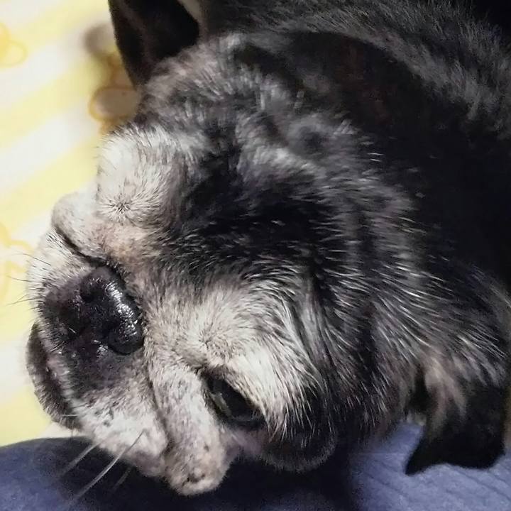 960d4d33 8070 45f9 b873 8b0a92546cba