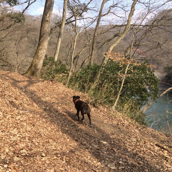 960d52b6 4589 471d 8d15 52a6373ed091