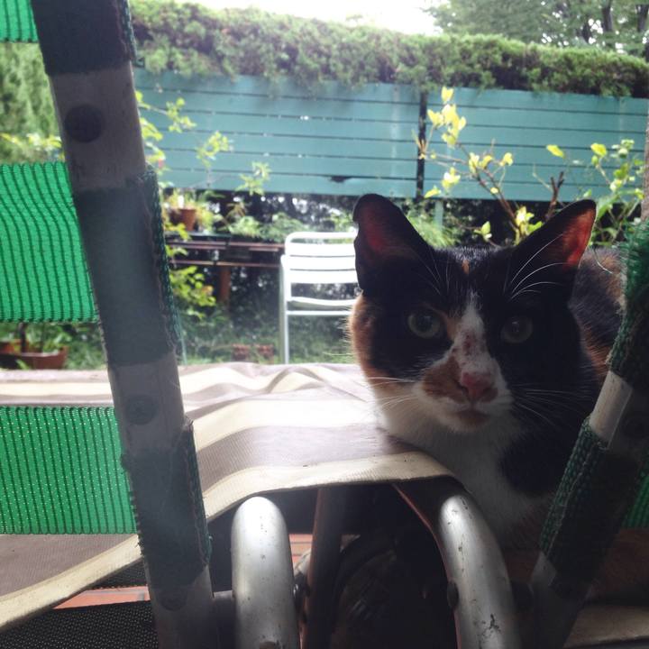 960dd682 4b88 4ca1 9c98 e7754d1e6bc8