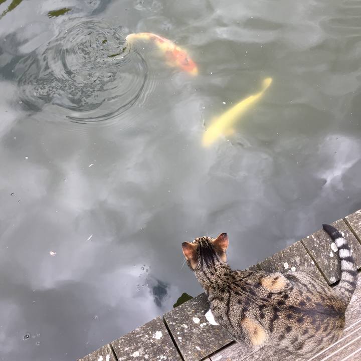 960e594c f0a2 434e 9ec5 0231efb79e21