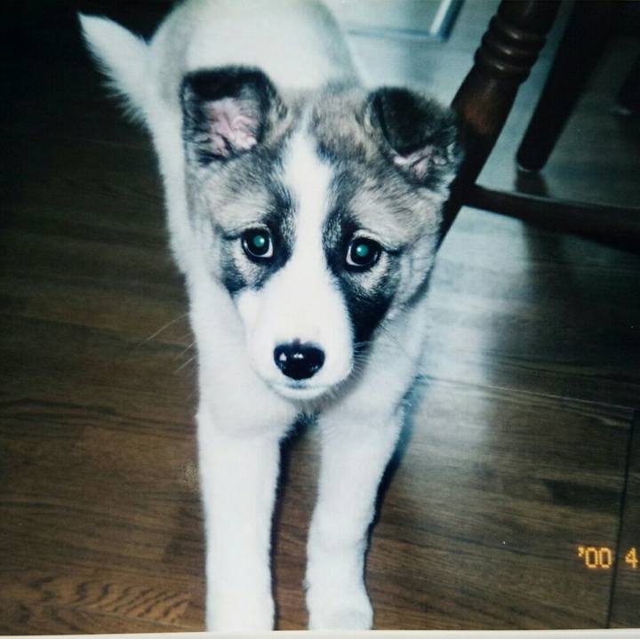 960e637a 3dd2 4d22 9c12 842f0395f207