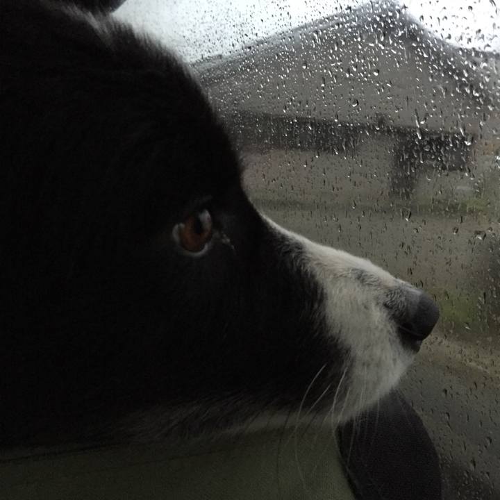 960f3f9e 527c 43e2 ab5e 0b5b104060da