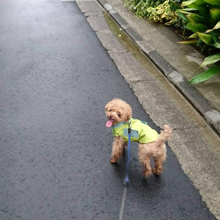 960fa8c4 c269 4757 8681 f5fdc1e94463