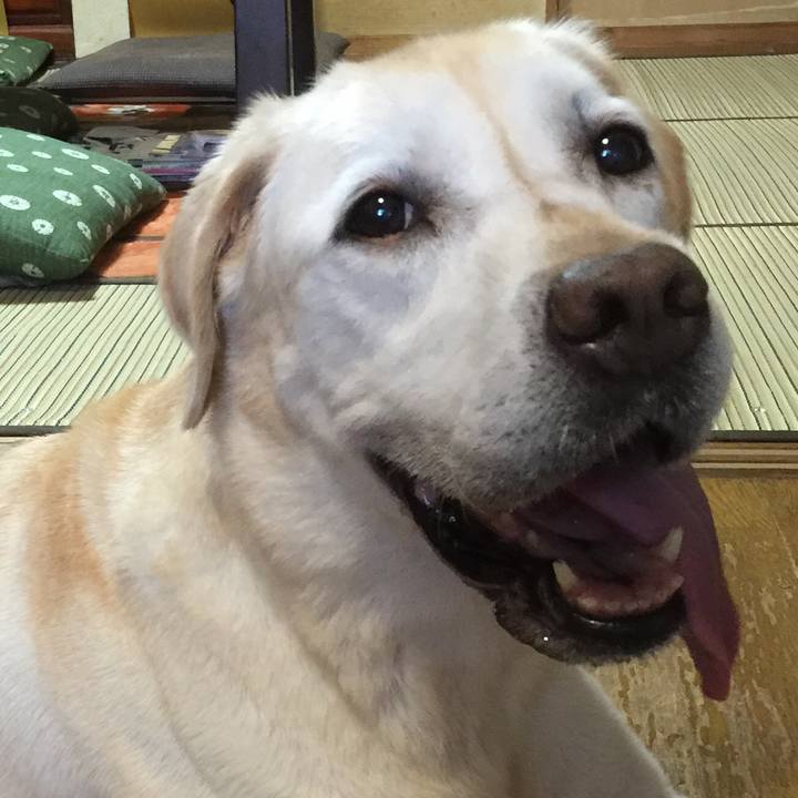 960fec59 aae3 4299 8f61 7d887ed8e8f2