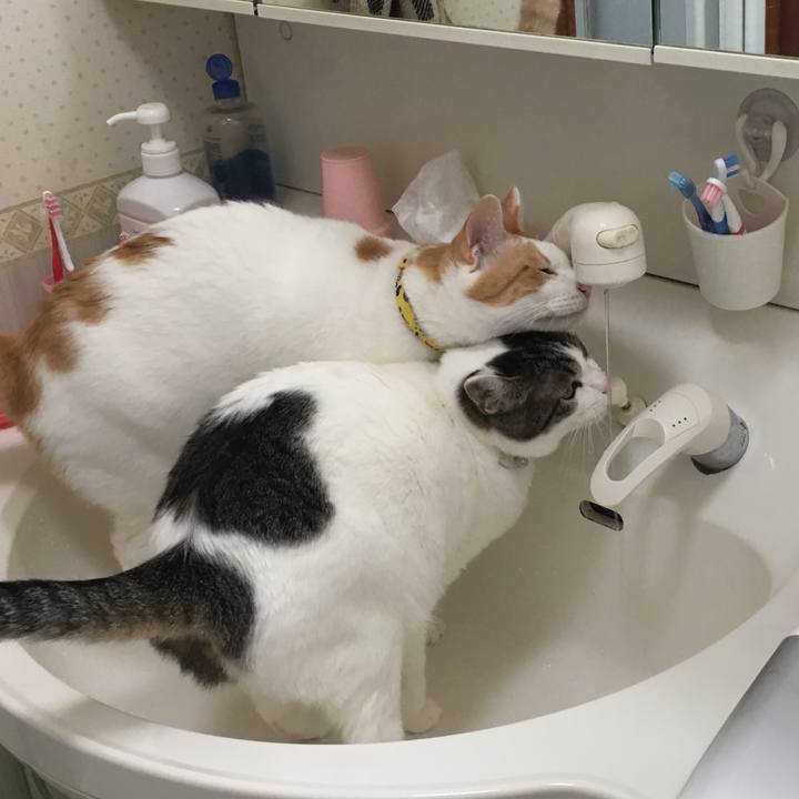 96100dcd 58ba 47c2 8ac1 0ce80051eb2f