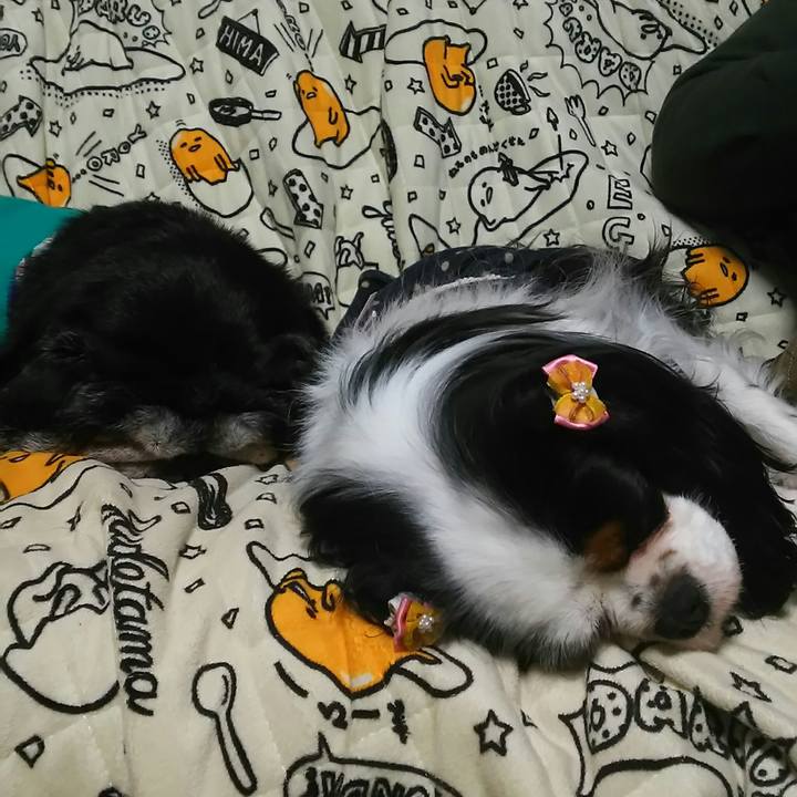 96102bc6 75bf 40d1 b9e0 4729e17ca010