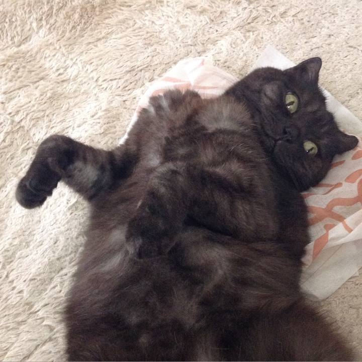 961050d4 a92f 4c97 ac09 d4fa8382e6e5