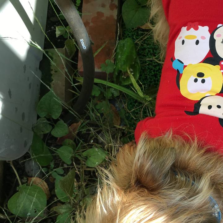 96109608 6d12 4c21 8417 1206dd3b9c18