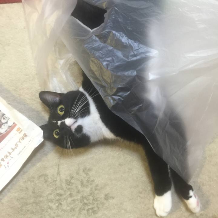 9610ba4b 9bfe 432b 897c 631a1ff5aece