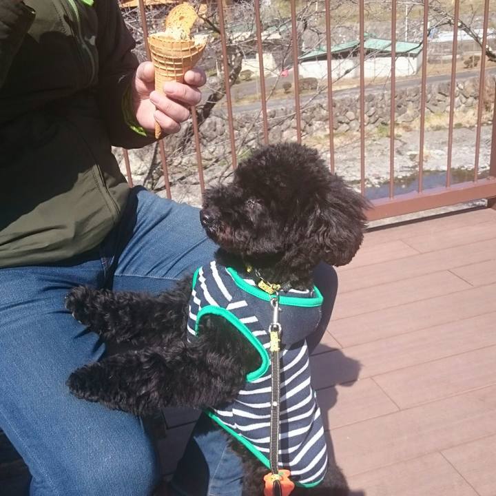 961102e2 016d 4c09 b062 89703b2533e1