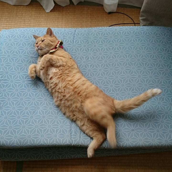 9611729e ade3 4d36 9dd6 f9928acd9653