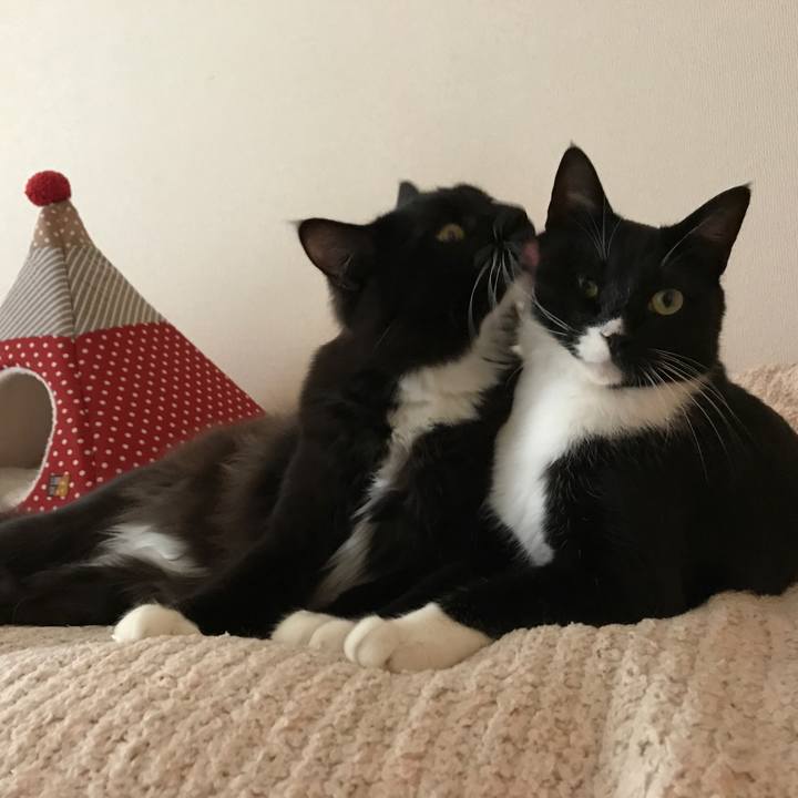 9611d44e 7363 4cf8 840a 767596c17fca