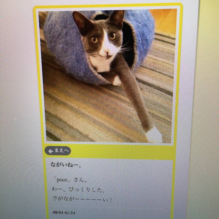 96126c01 3a58 412e 9282 652263826880