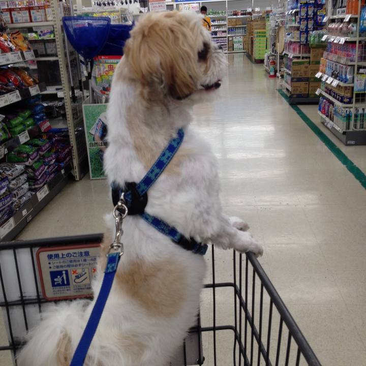 9612ab66 246e 4e52 a769 de638d6df21b