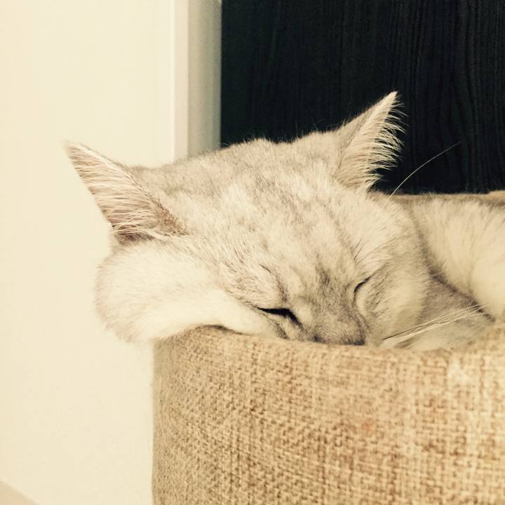 96130ca5 adf6 450d b762 ec54af7066bc