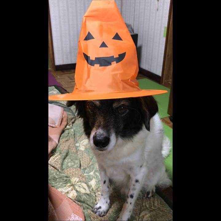 9613280e 38fc 4d04 b8f6 a5e4ce50a573