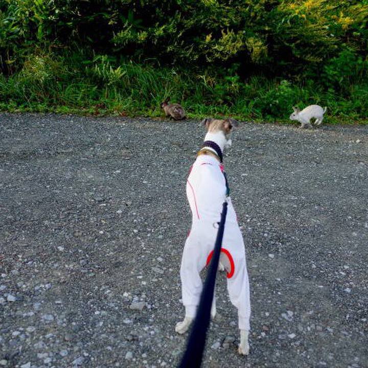 9613a694 3c16 4d7c 9792 0c7a7d20b8b8