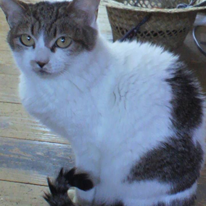 9613bb33 10ca 40d8 aff1 80cdffb90504