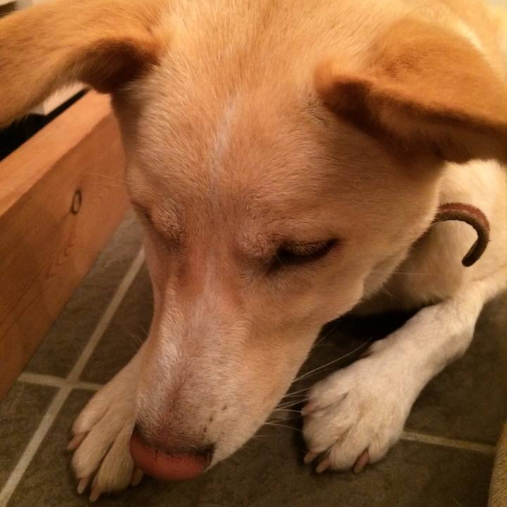 9613d9e2 3c52 4a1b 95a3 40c6f13c254a