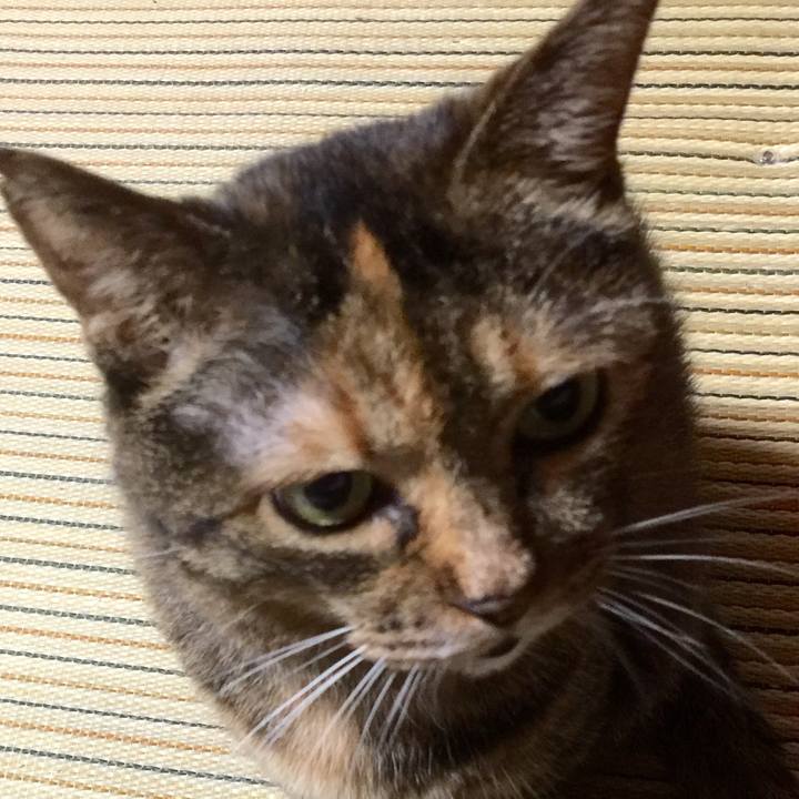 9613dd3d 7fdb 4d93 ba06 192e13087540