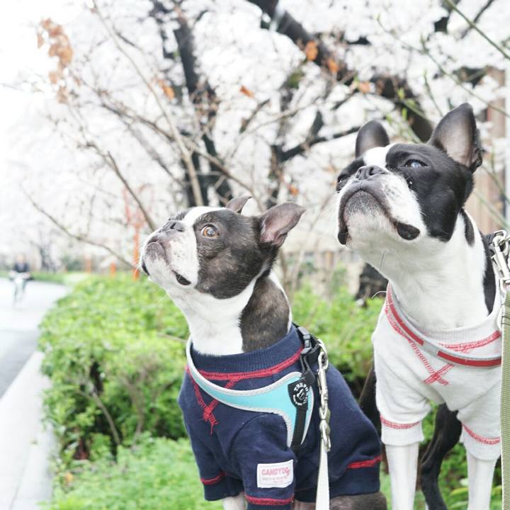 9613eafc 6773 4348 bbf7 c4015d2a1478