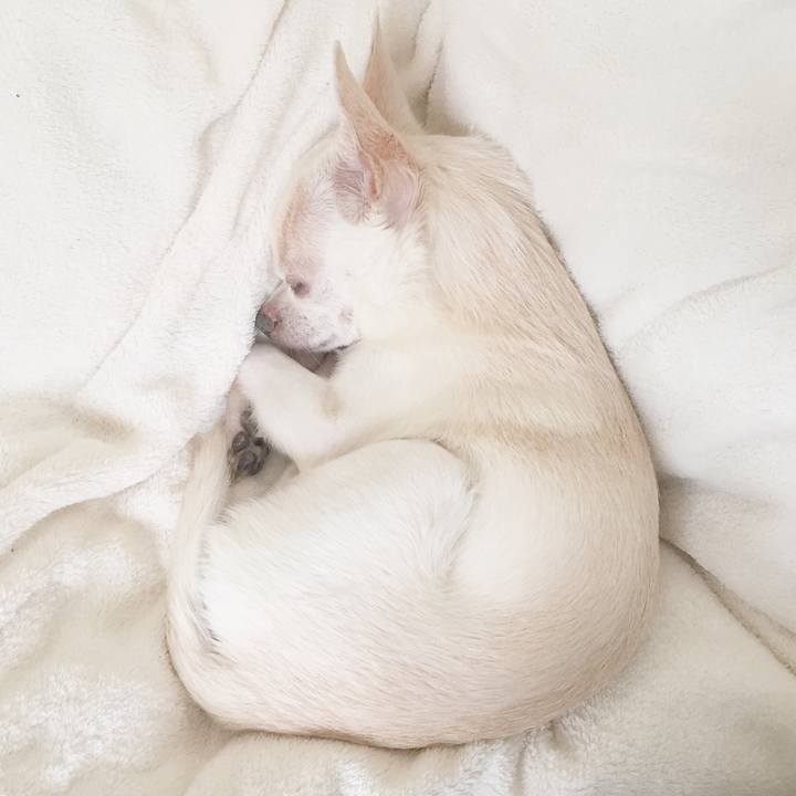 9613f133 2e11 41de a9ea 29110647f7bb