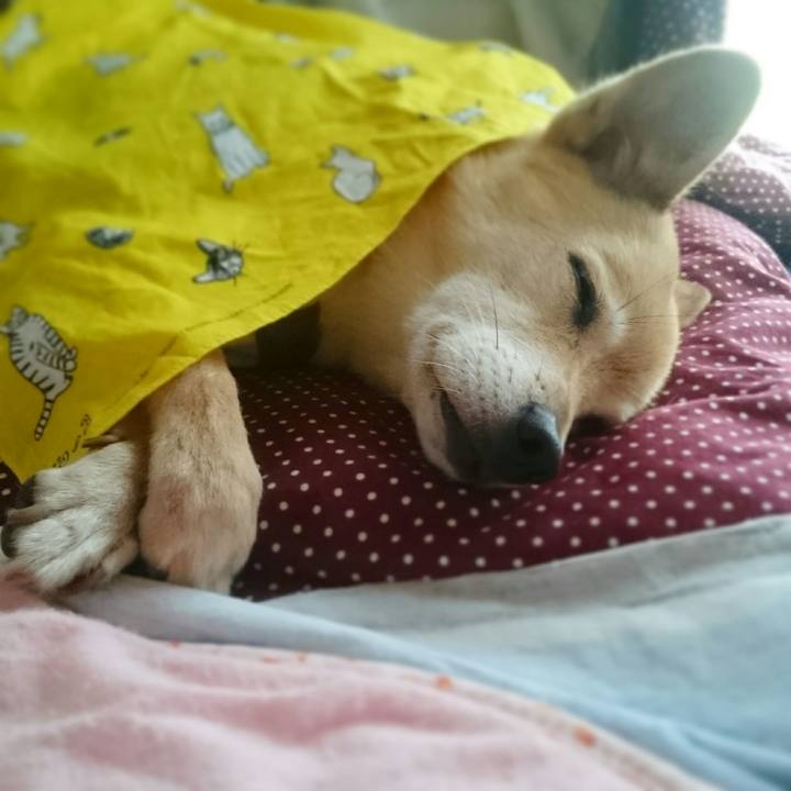 96140b7a b1e5 43f0 8b66 466faa1ed165