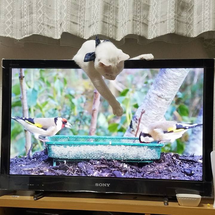 96143582 3aa9 448b 9b8d 3d0275b38b43