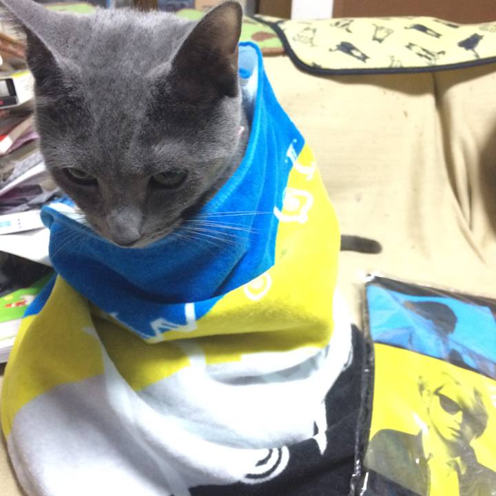 96147e40 68c5 4185 b23c 9086dc04b5f2