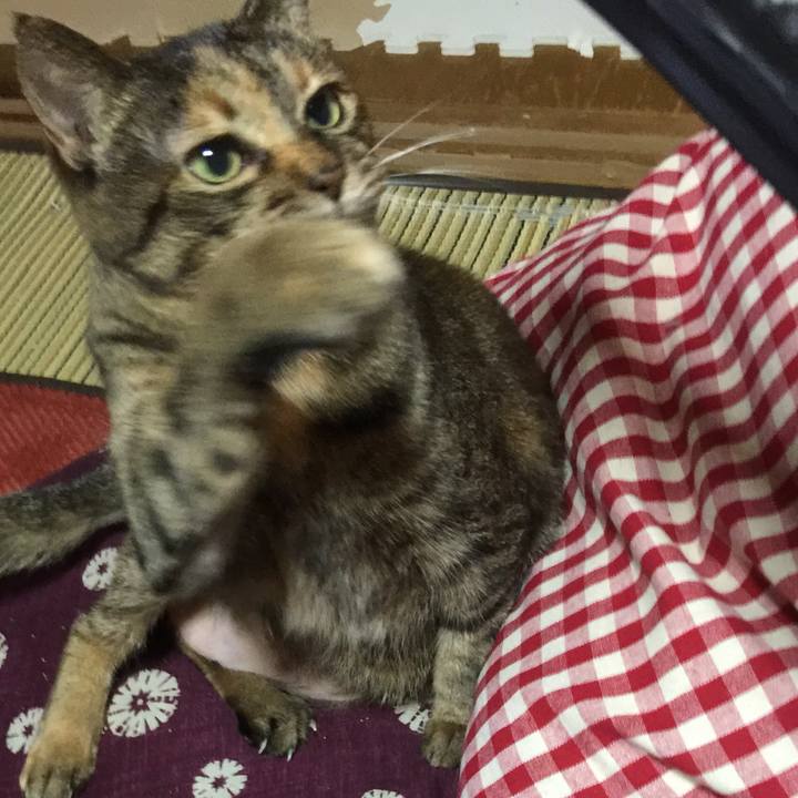 9614e761 e7ee 441f a61f 40ed2836fab9