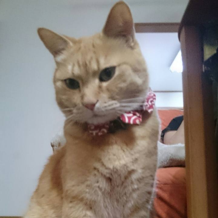 96150683 4ad4 47d1 9a10 9fc8eaf1e3a8