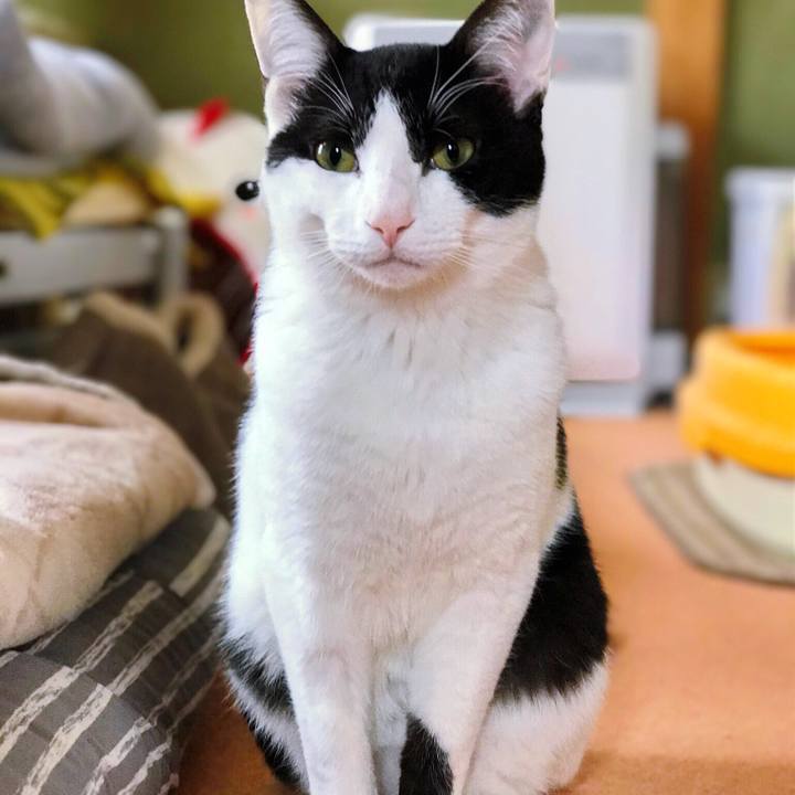 9615dc49 b85e 43a9 b1dd 8c3b4774290e