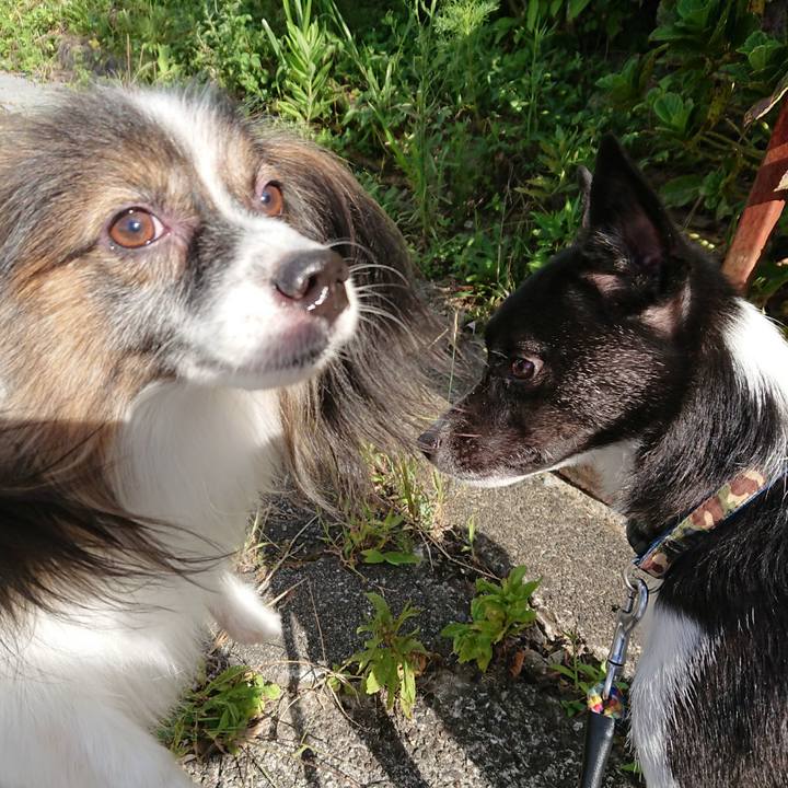 96160449 9959 435d 8bde ee040a1de357