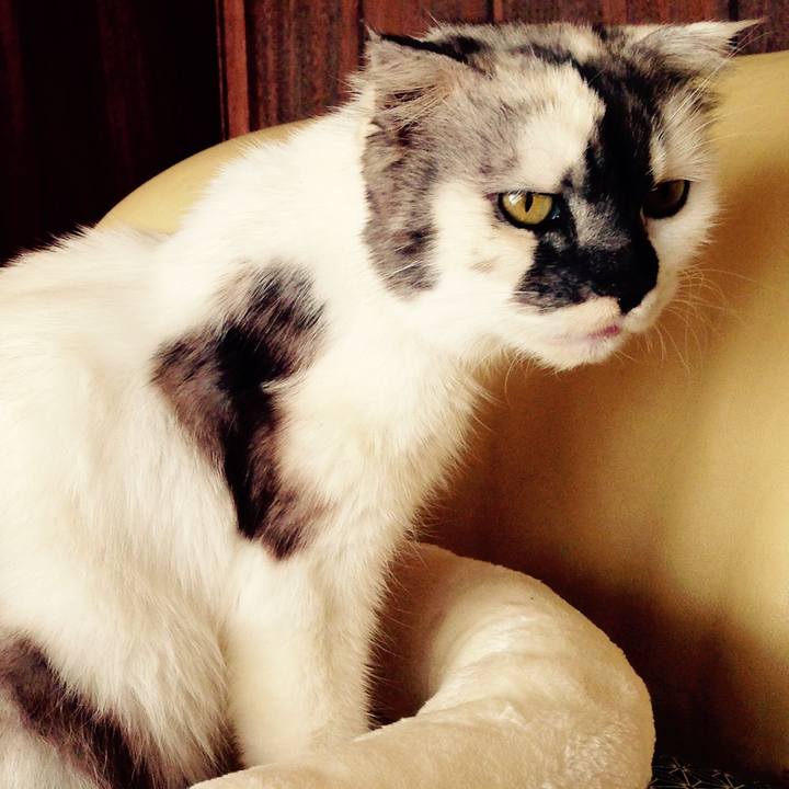 96168d24 b849 4c32 aa51 e514330c5a0d