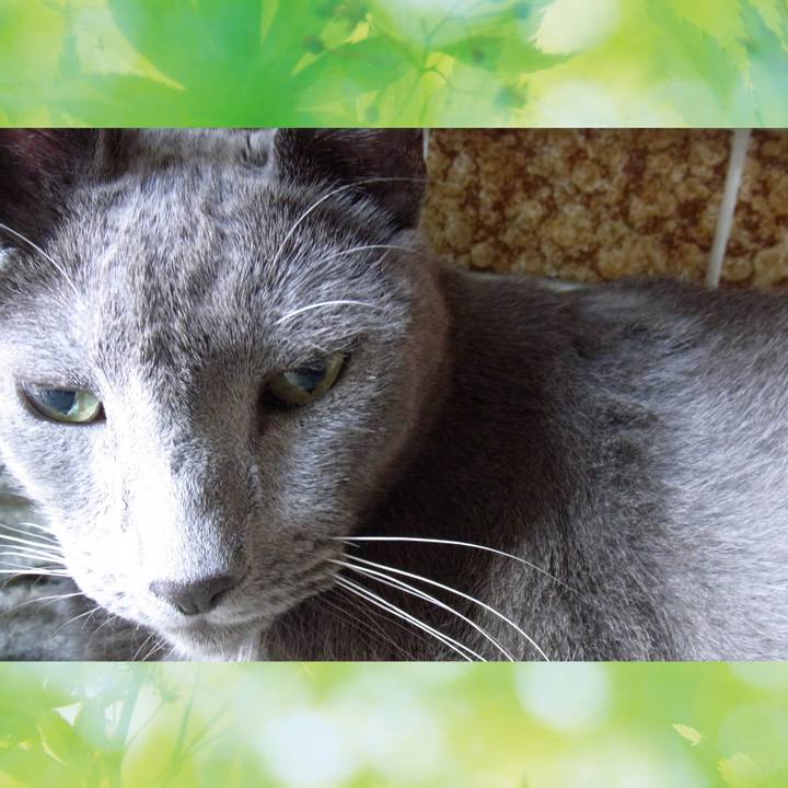 9616e434 55ba 4cfc 939f 9d42180e2785