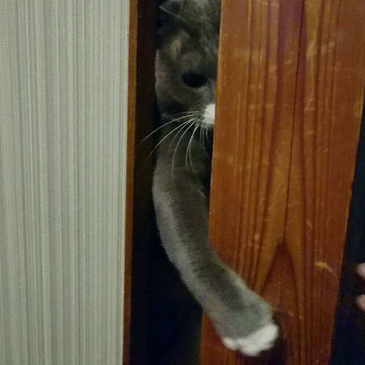 96171d72 bdfe 4ec3 855c b2931edefe14