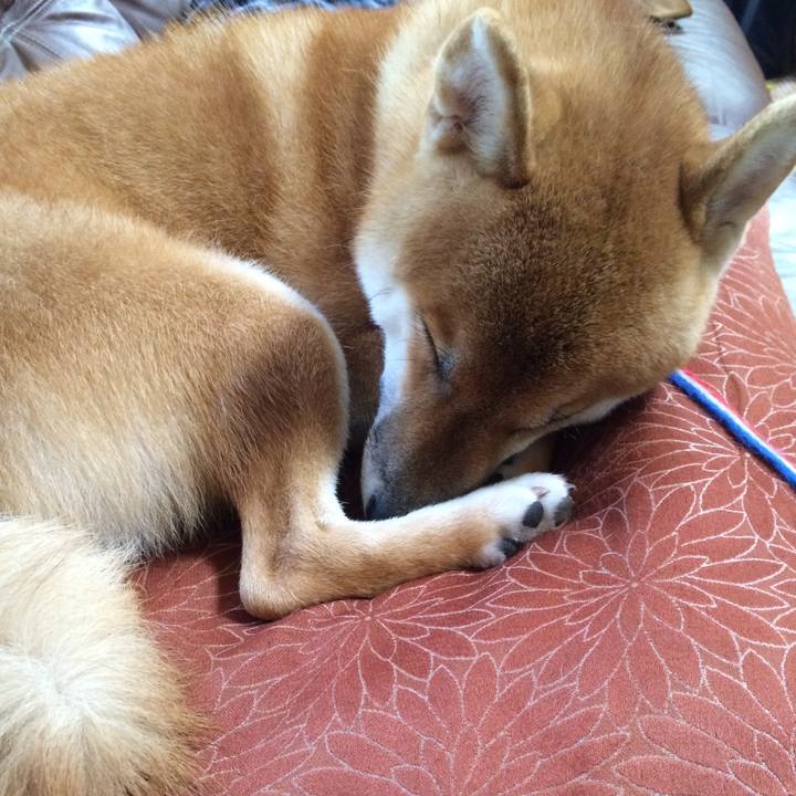 96173c68 d18e 4dad 9159 180ccfcc7c74