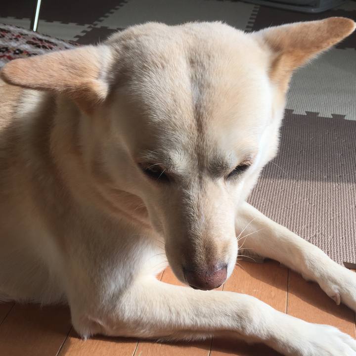 9617720c 1f7f 46c6 832c 6794239880cc