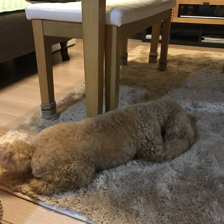 9617ca6e 0954 41cc a2f2 67925a0fd656