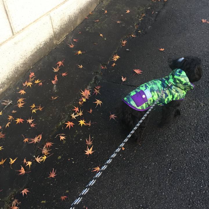 9617cd42 3525 48b8 8f48 79b2344cdc20