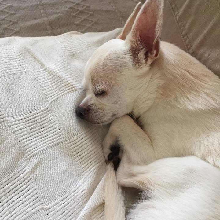 961832a5 4eac 4ef2 91df 6dda7e9ff2fb